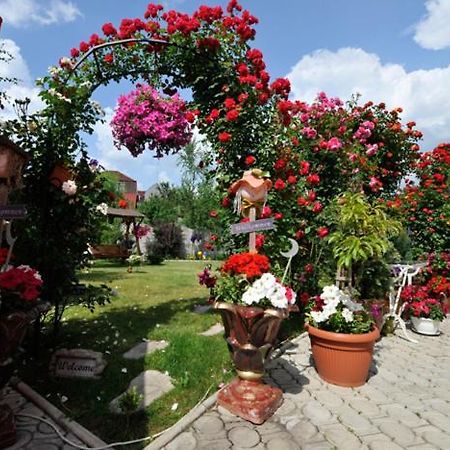 Pensiunea Sofia Temešvár Exteriér fotografie