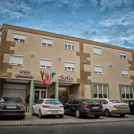 Pensiunea Sofia Temešvár Exteriér fotografie