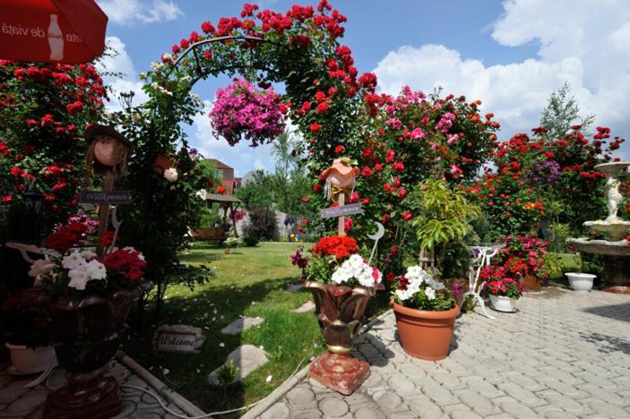 Pensiunea Sofia Temešvár Exteriér fotografie