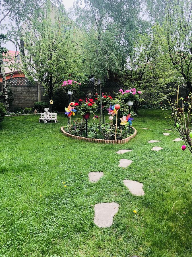 Pensiunea Sofia Temešvár Exteriér fotografie