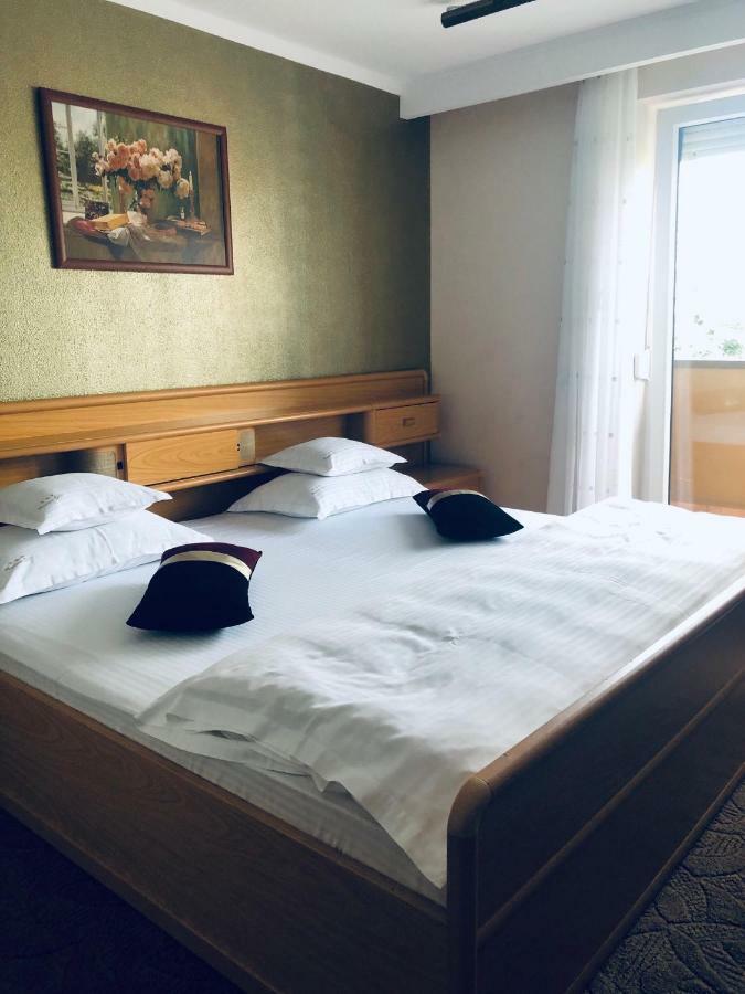 Pensiunea Sofia Temešvár Exteriér fotografie