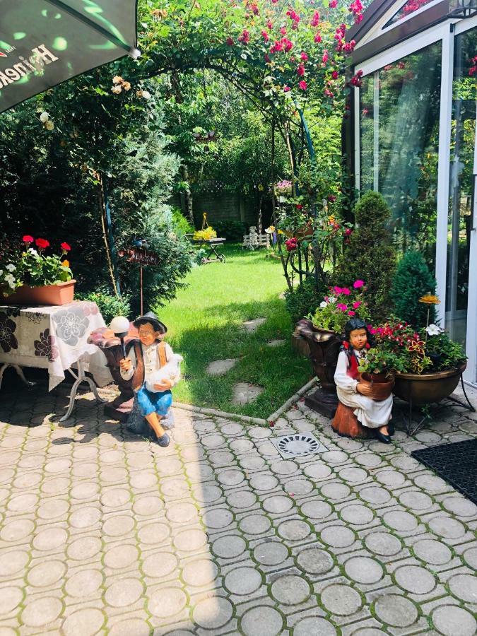 Pensiunea Sofia Temešvár Exteriér fotografie