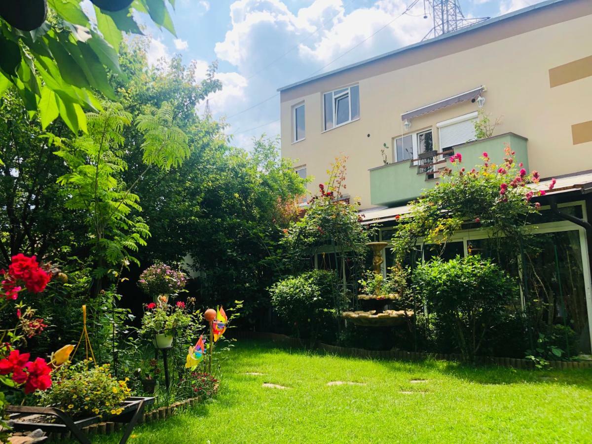 Pensiunea Sofia Temešvár Exteriér fotografie