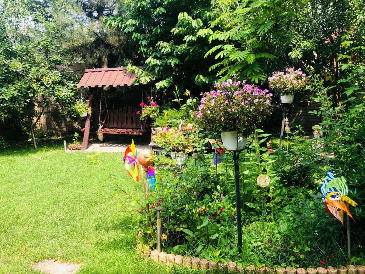 Pensiunea Sofia Temešvár Exteriér fotografie